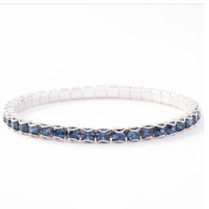 Touchstone Crystal December birthstone bracelet